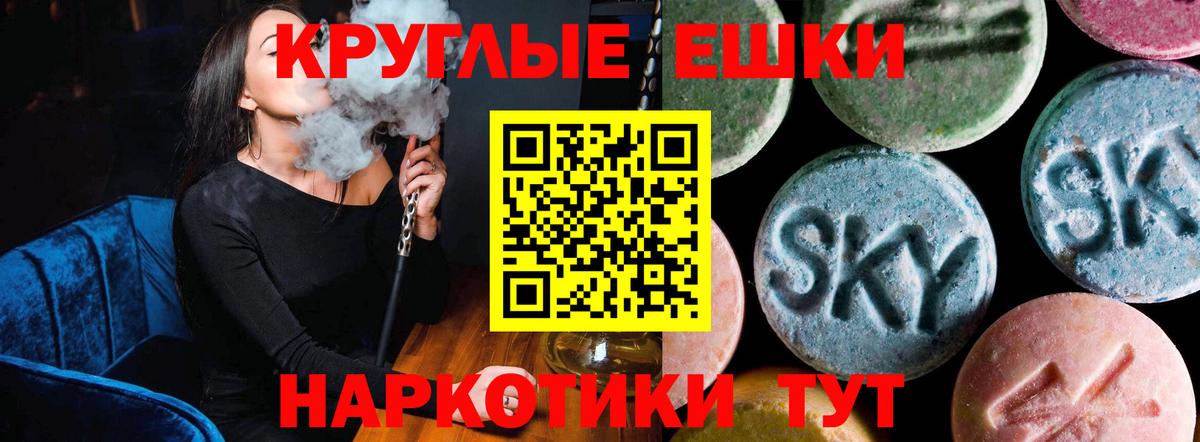 ЭКСТАЗИ Philipp Plein Новосибирск