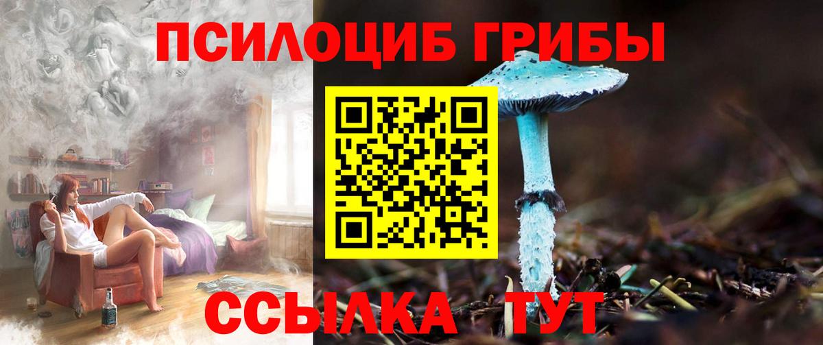 Новосибирск  Галлюциногенные грибы MAGIC MUSHROOMS  Вход с VPN 